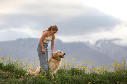 GPS Wireless Dog Fence for Camping Trips